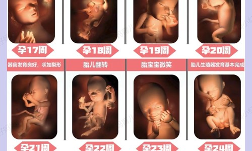 乙肝患者可以吃茄子吗-天津咽喉丸图片网 :分享四照花生长速度-仪征个人二手房网知识